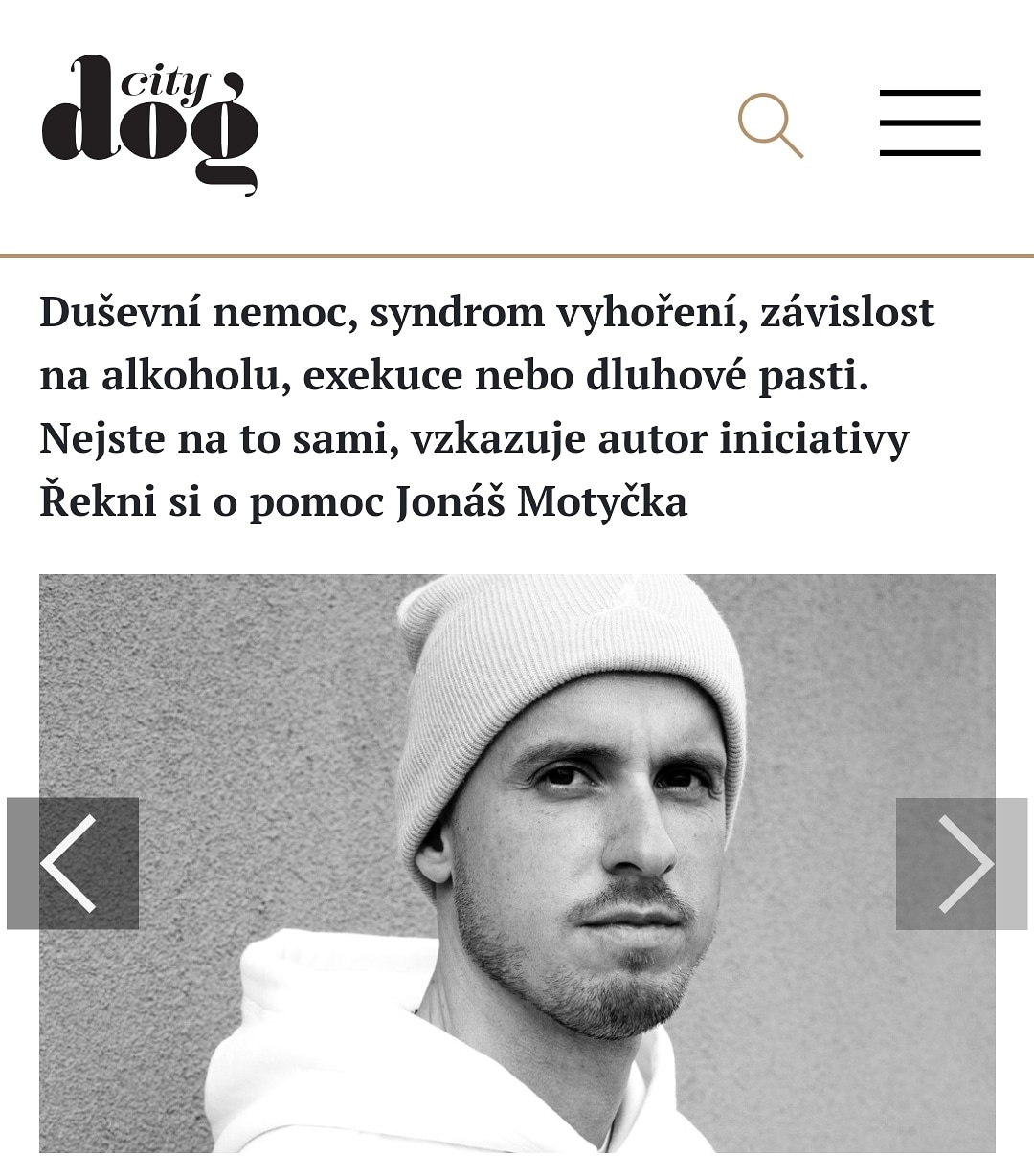 City Dog